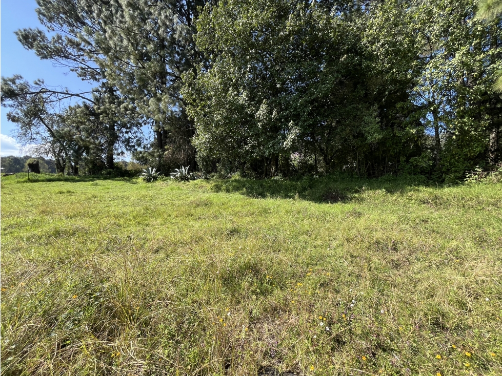 TERRENO EN VENTA I 500M2 PLANO I SAN SIMÓN — foto 6