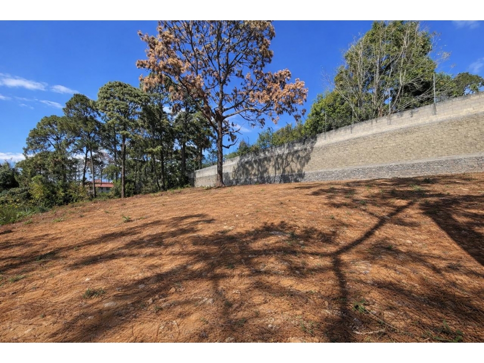 TERRENO EN VENTA I AVANDARO I 843 M2