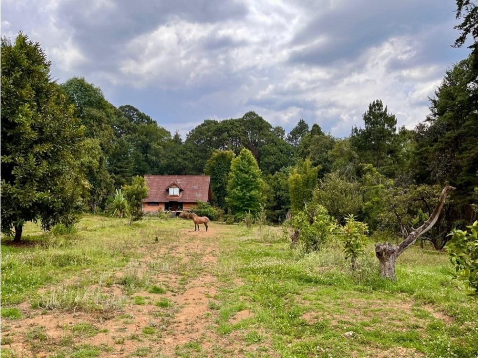 TERRENO EN VENTA | 2,500 m2 | VALLE DE BRAVO | MESA DE JAIMES — foto 5