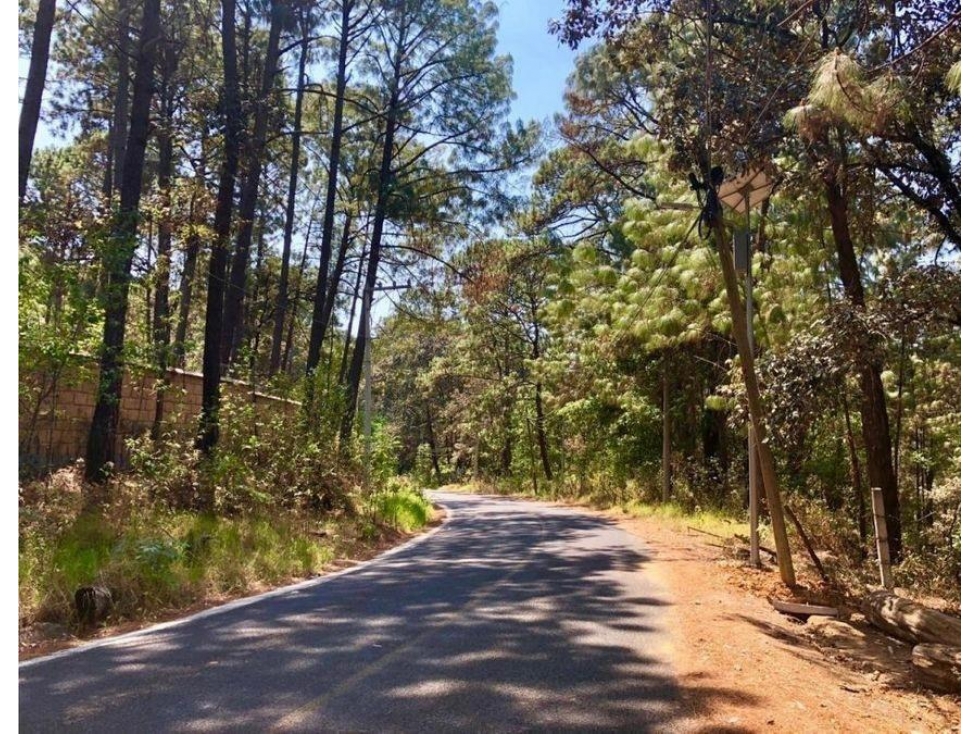 TERRENO EN VENTA | 5,000 M2 | CIRCUITO AVANDARO — foto 2
