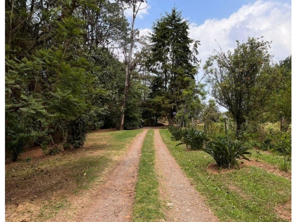 TERRENO EN VENTA | 5,000 M2 | MESA DE JAIMES | VALLE DE BRAVO — foto 2