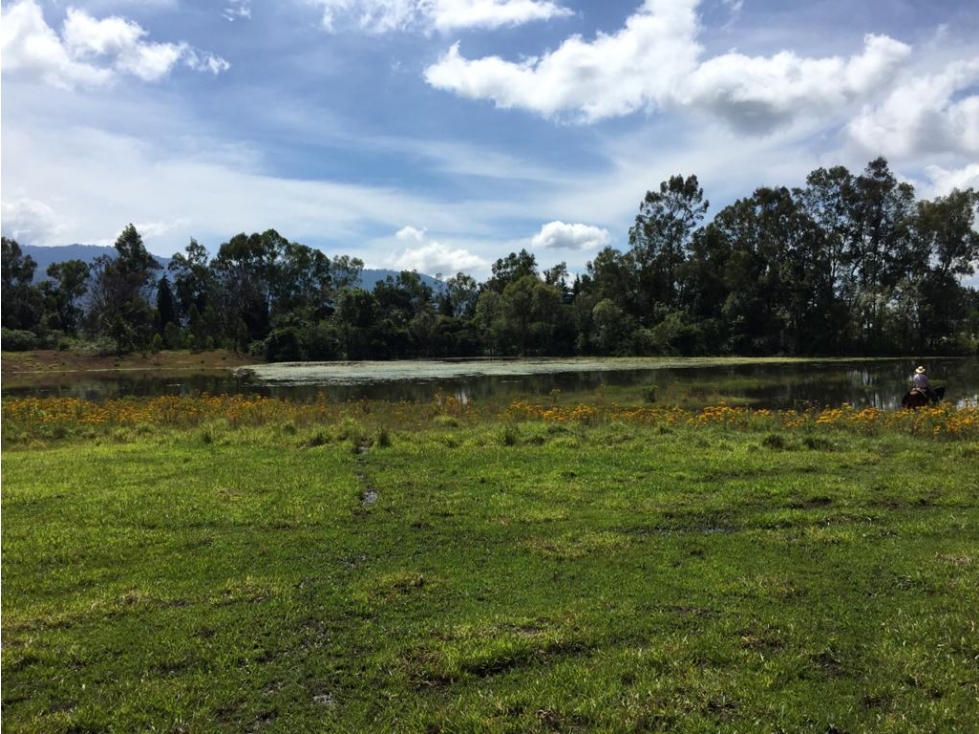 TERRENO EN VENTA CON ÁRBOLES DE AGUACATE — foto 4