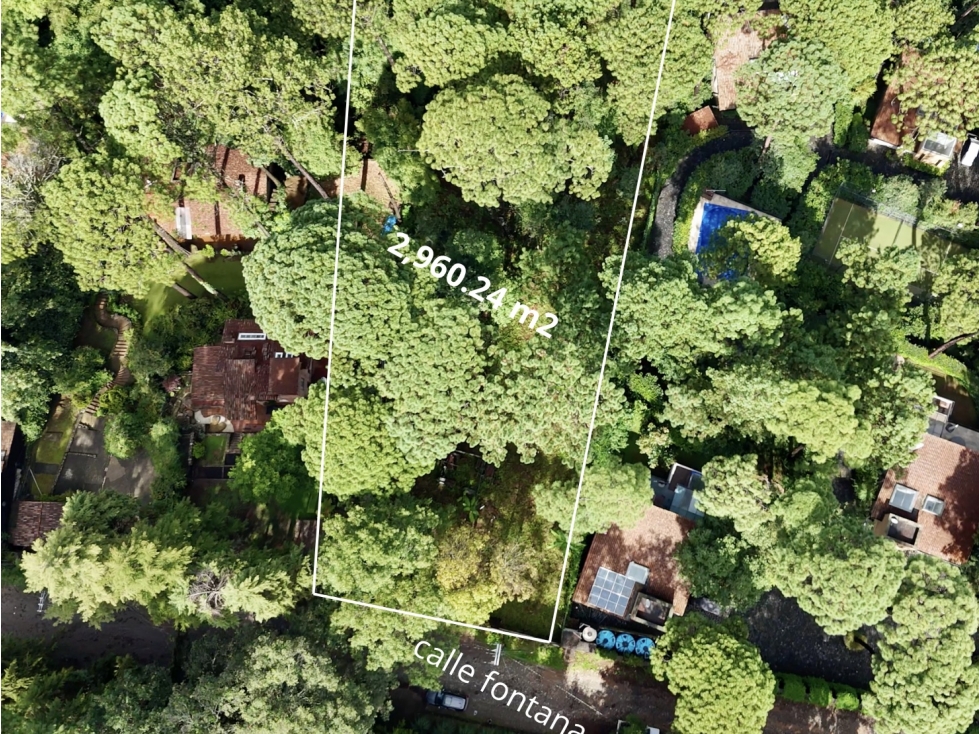 TERRENO EN VENTA | 2,628 m2 | AVANDARO | VALLE DE BRAVO — foto 3