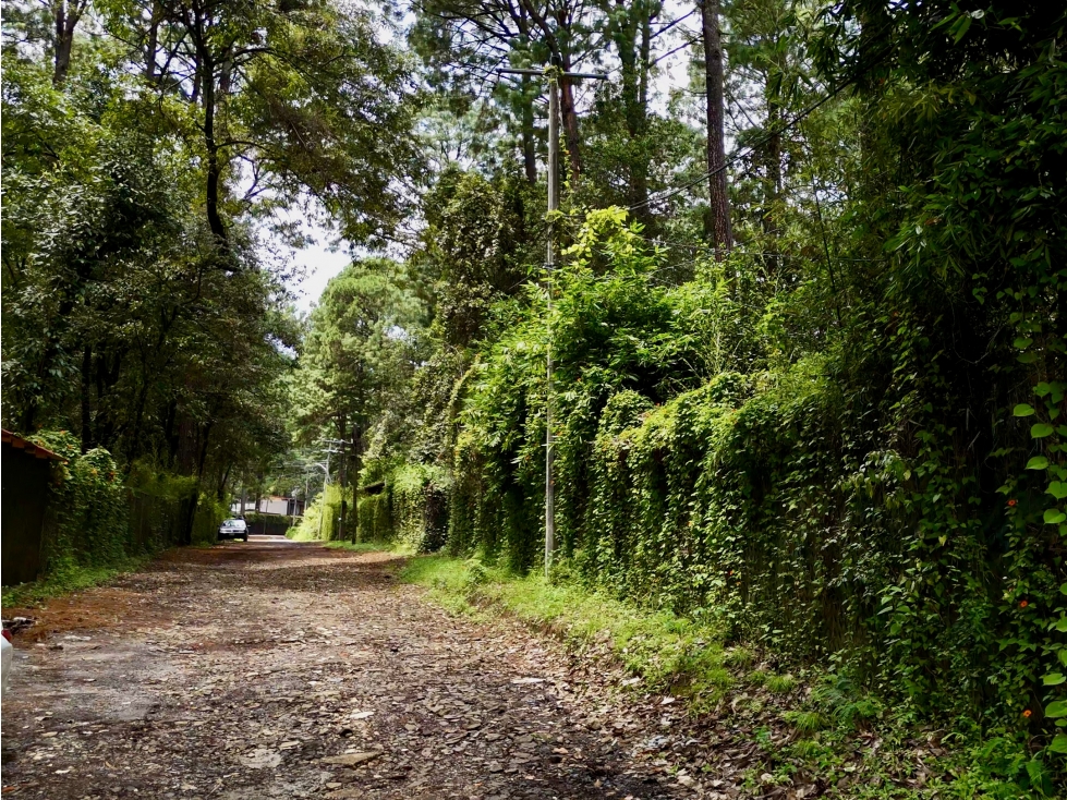 TERRENO EN VENTA | 1,216 m2 | CERCA DE AVANDARO | VALLE DE BRAVO - 2