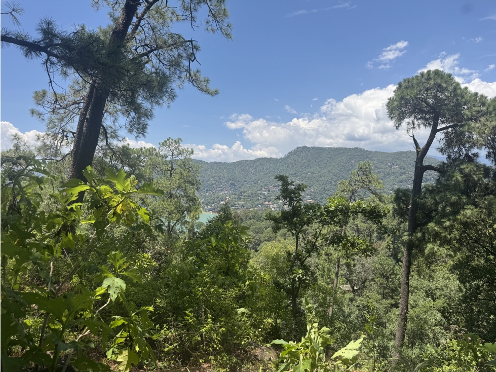 TERRENO EN VENTA | 4,113 M2 | AVANDARO - EL PEDREGAL — foto 3