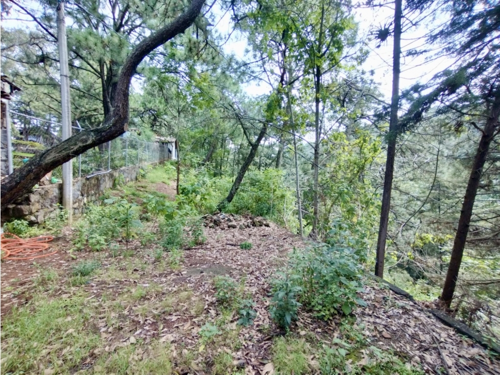 TERRENO EN VENTA | 4,042m2 | VISTA BOSCOSA — foto 3