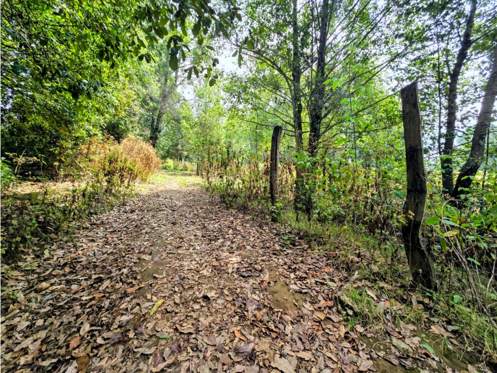 TERRENO EN VENTA SAN SIMON I 2556 M2