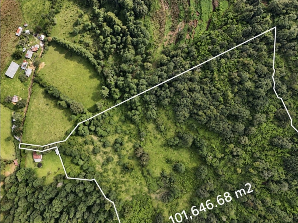 TERRENO EN VENTA | 10 HECTAREAS | LOS SAUCOS | VALLE DE BRAVO - 2