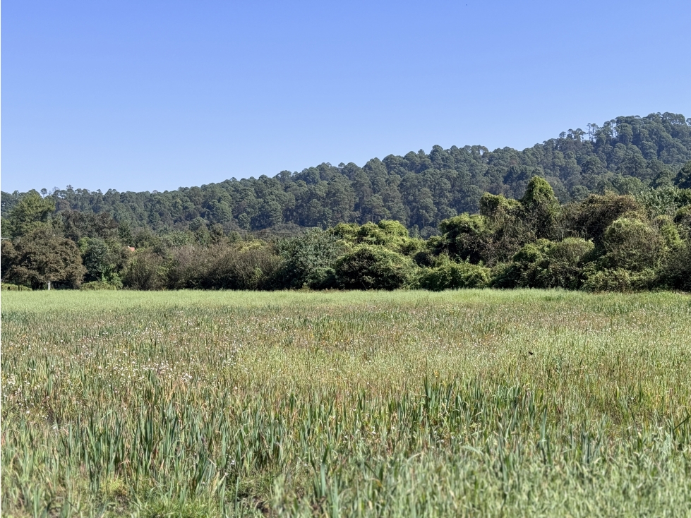 TERRENO EN VENTA EN VALLE DE BRAVO | CERRO GORDO | RANCHO | AVÁNDARO