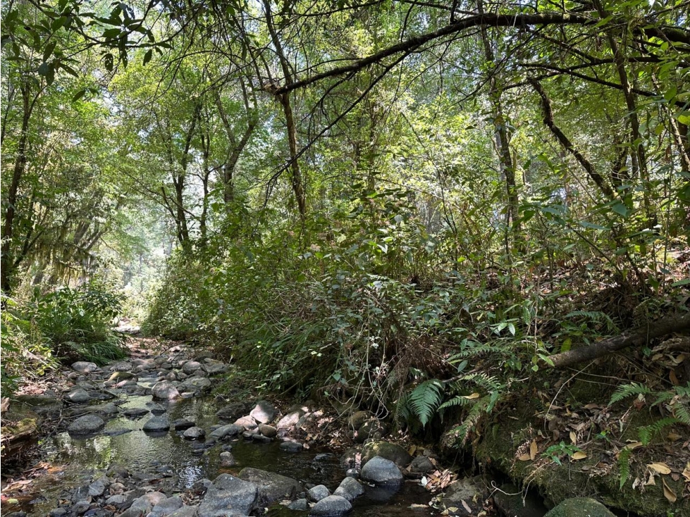 TERRENO CON RIO EN VENTA SAN SIMON