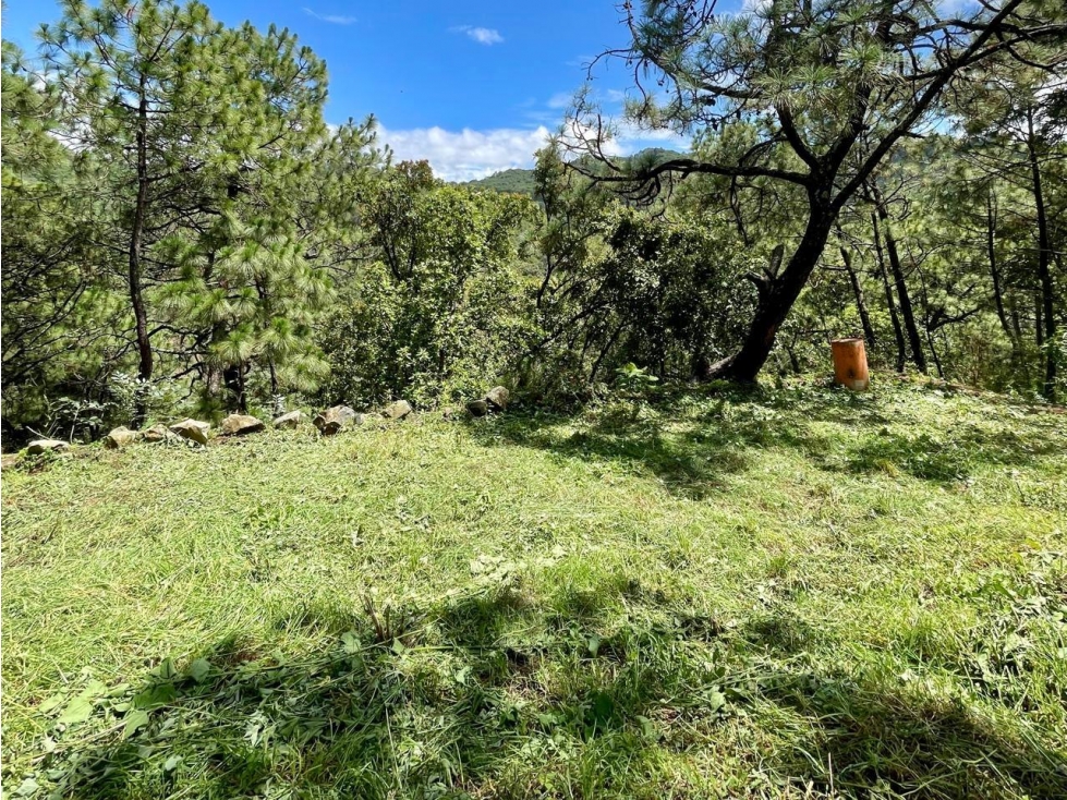 TERRENO EN VENTA VALLE DE BRAVO I EL CEREZO — foto 2
