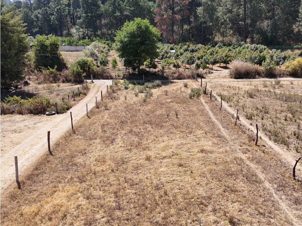 TERRENO EN VENTA | POLVILLOS | VALLE DE BRAVO
