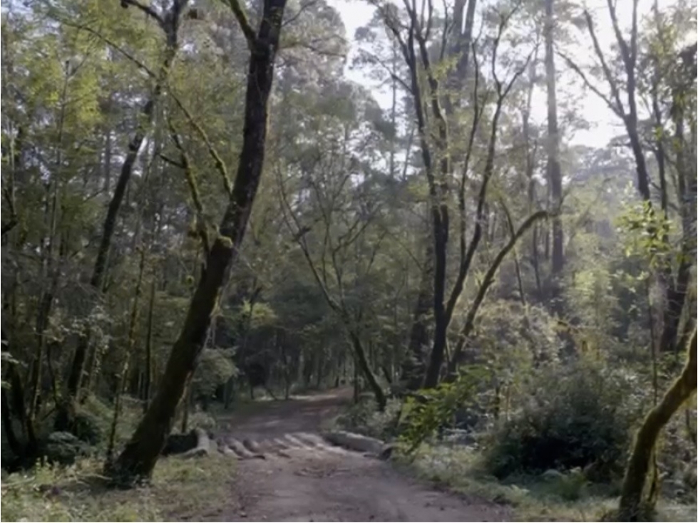 TERRENO EN VENTA | 5,000 M2 | CERRO GORDO | VALLE DE BRAVO — foto 5