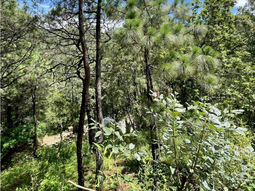 TERRENO EN VENTA VALLE DE BRAVO I EL CEREZO — foto 3