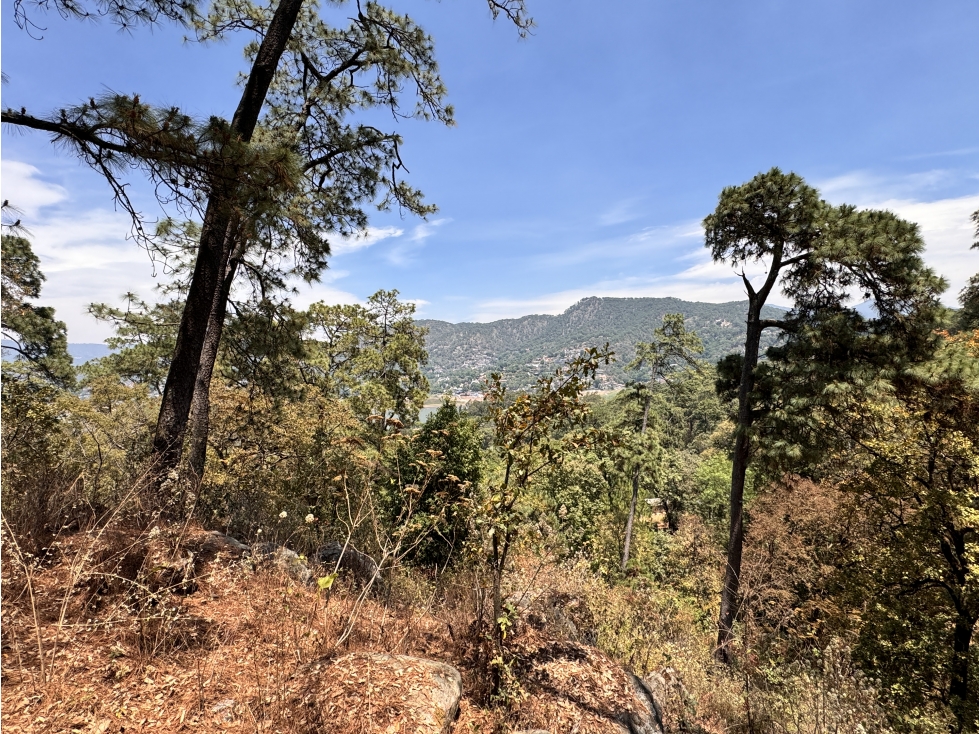 TERRENO EN VENTA Ó APORTACION | 4,811 M2 | AVANDARO-PEDREGAL — foto 3