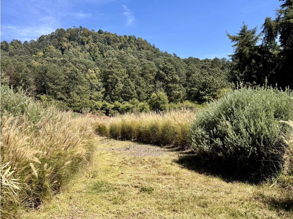 RANCHO EN VENTA, SANTA LUCIA, VALLE DE BRAVO - 5