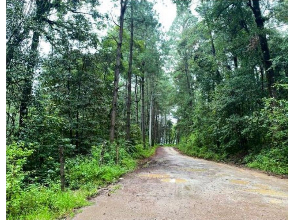 TERRENO EN VENTA | 6,764 M2 | VALLE DE BRAVO | EL MANZANO - 1