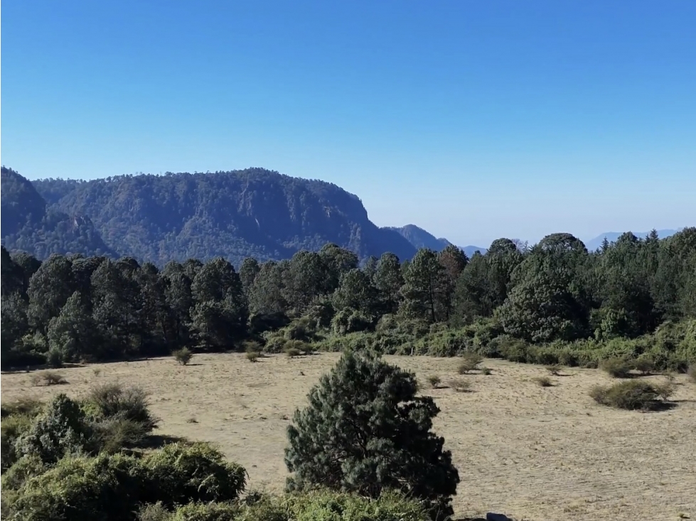 TERRENO EN VENTA | 15.19 HECTAREAS | EL MANZANO | VALLE DE BRAVO