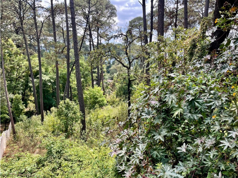 TERRENO EN VENTA I AVANDARO I 2000 M2 — foto 5