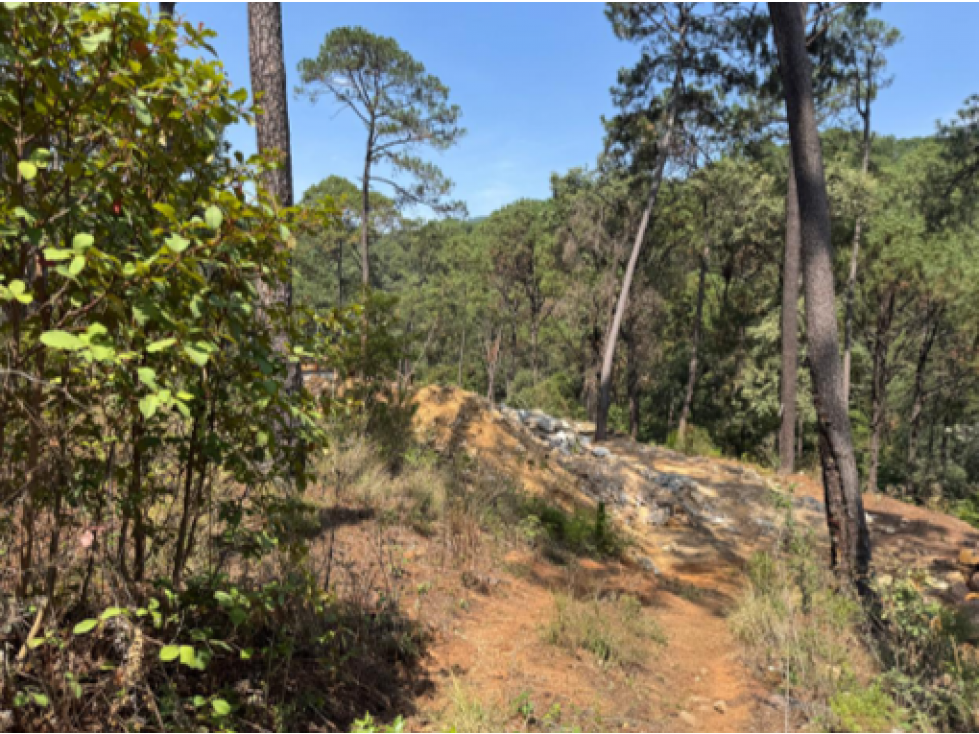 TERRENO EN VENTA I CERRO GORDO I 3,048 M2 — foto 6