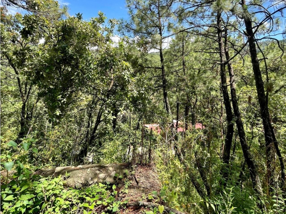TERRENO EN VENTA VALLE DE BRAVO I EL CEREZO — foto 5