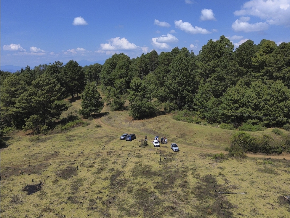 TERRENO EN VENTA I 1 HA I MESA DE DOLORES — foto 6