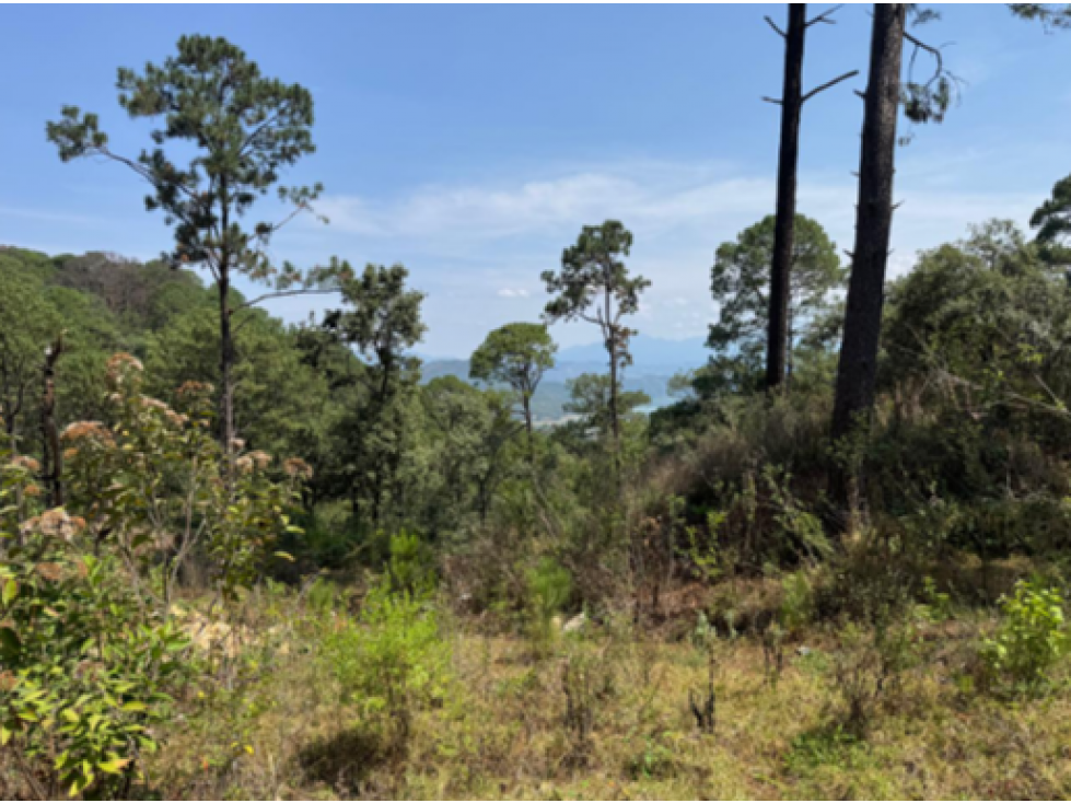 TERRENO EN VENTA I CERRO GORDO I 3,048 M2 — foto 2