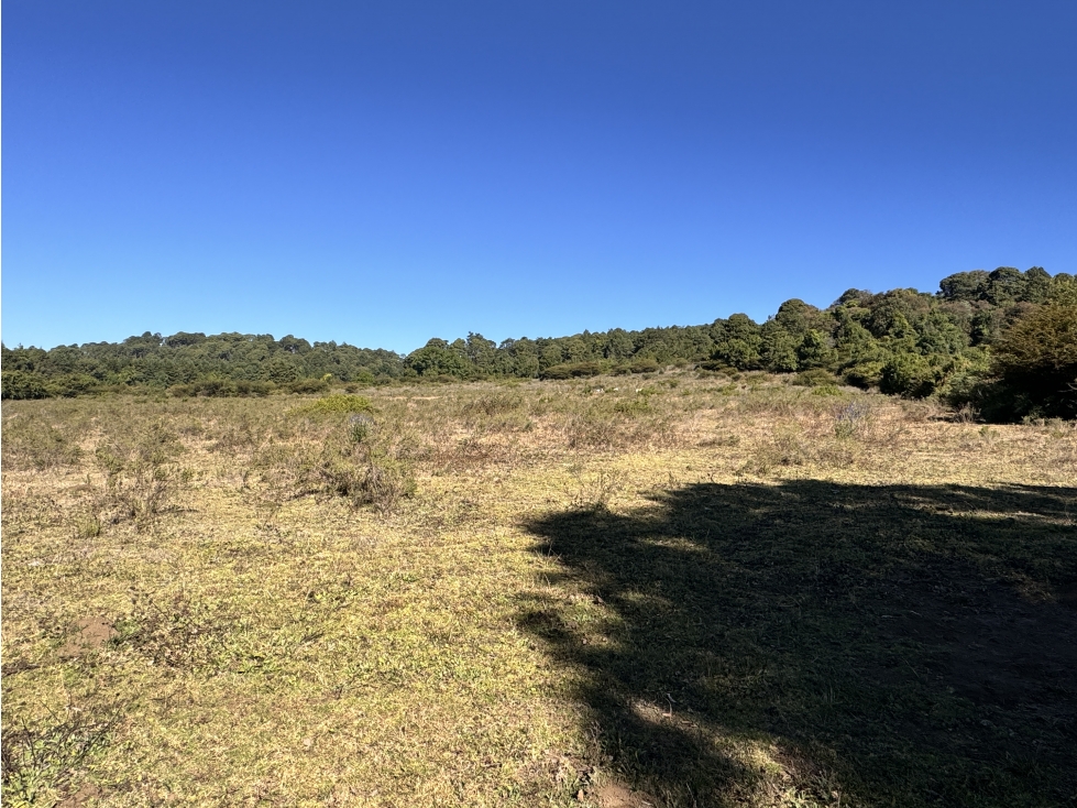TERRENO EN VENTA | 15.19 HECTAREAS | EL MANZANO | VALLE DE BRAVO — foto 3