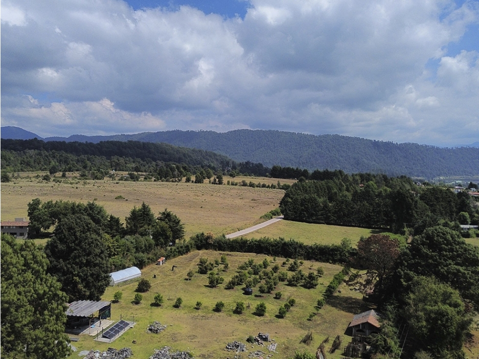 TERRENO EN VENTA I 1 HA I MESA DE DOLORES — foto 3