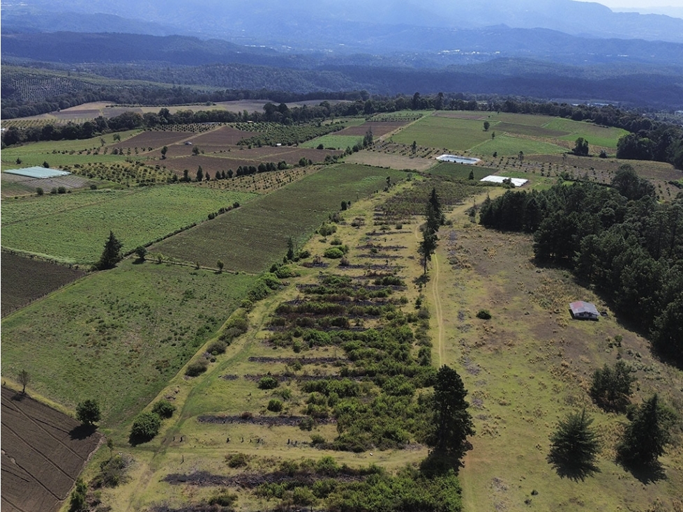 TERRENO EN VENTA I 1 HA I MESA DE DOLORES