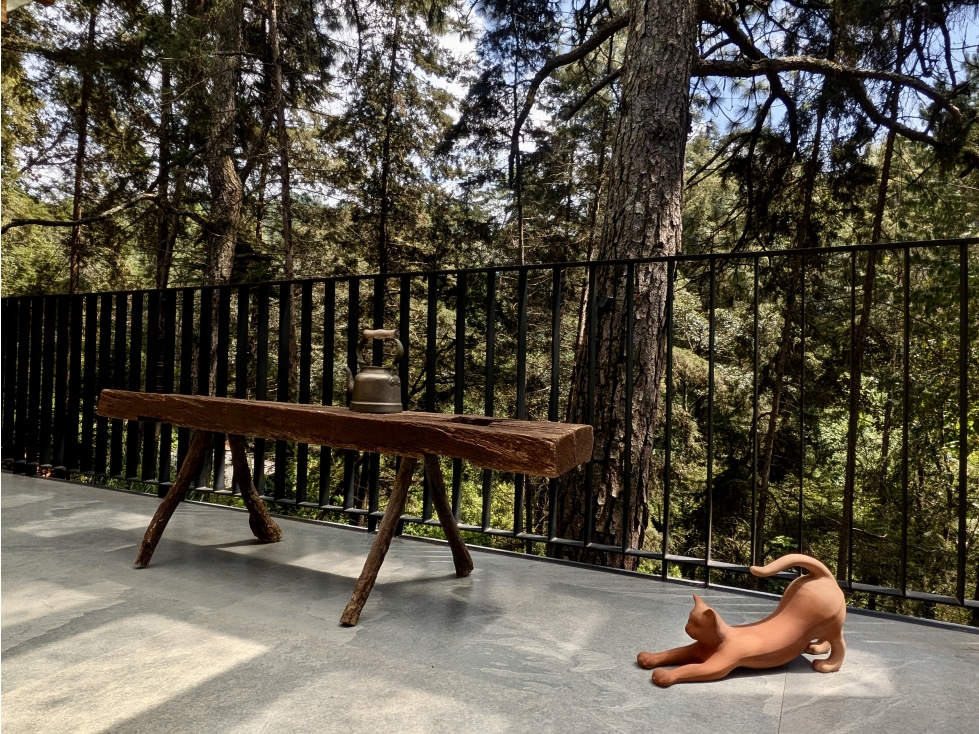 CASA EN VENTA | JACUZZI Y VISTA AL BOSQUE | RINCÓN ACATITLAN — foto 2