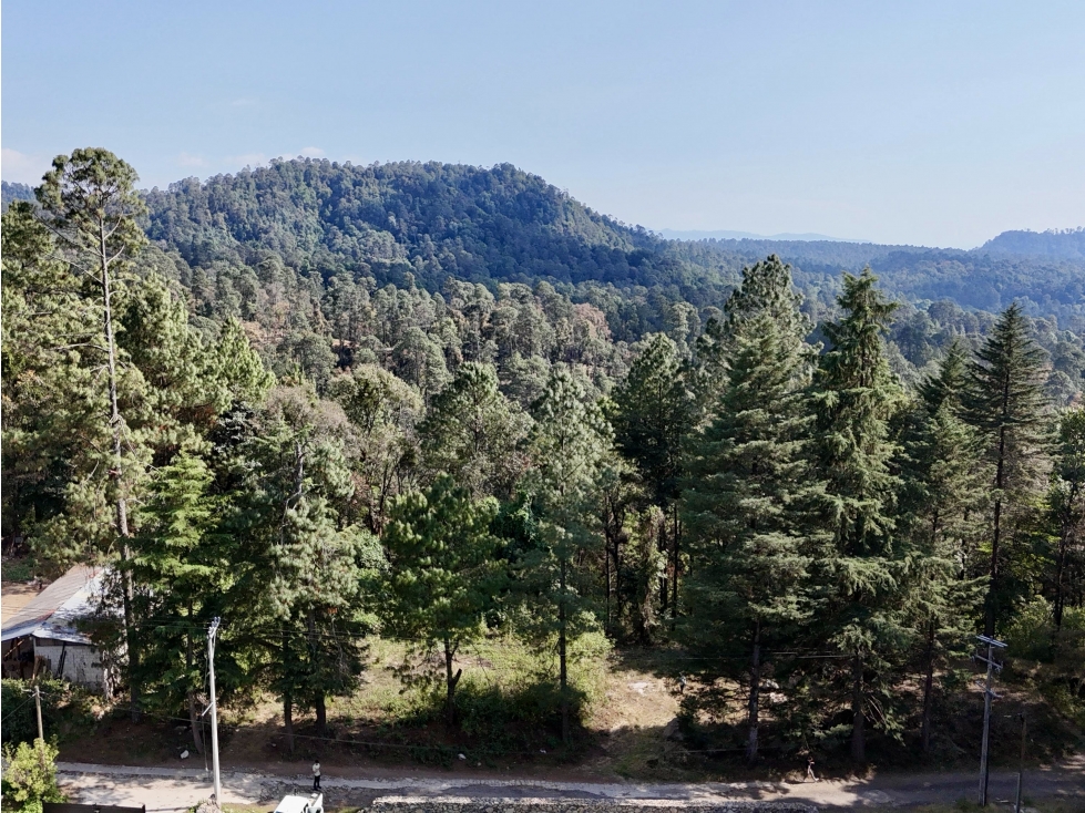 TERRENO EN VENTA | 1,500M2 | INMERSO EN EL BOSQUE — foto 2