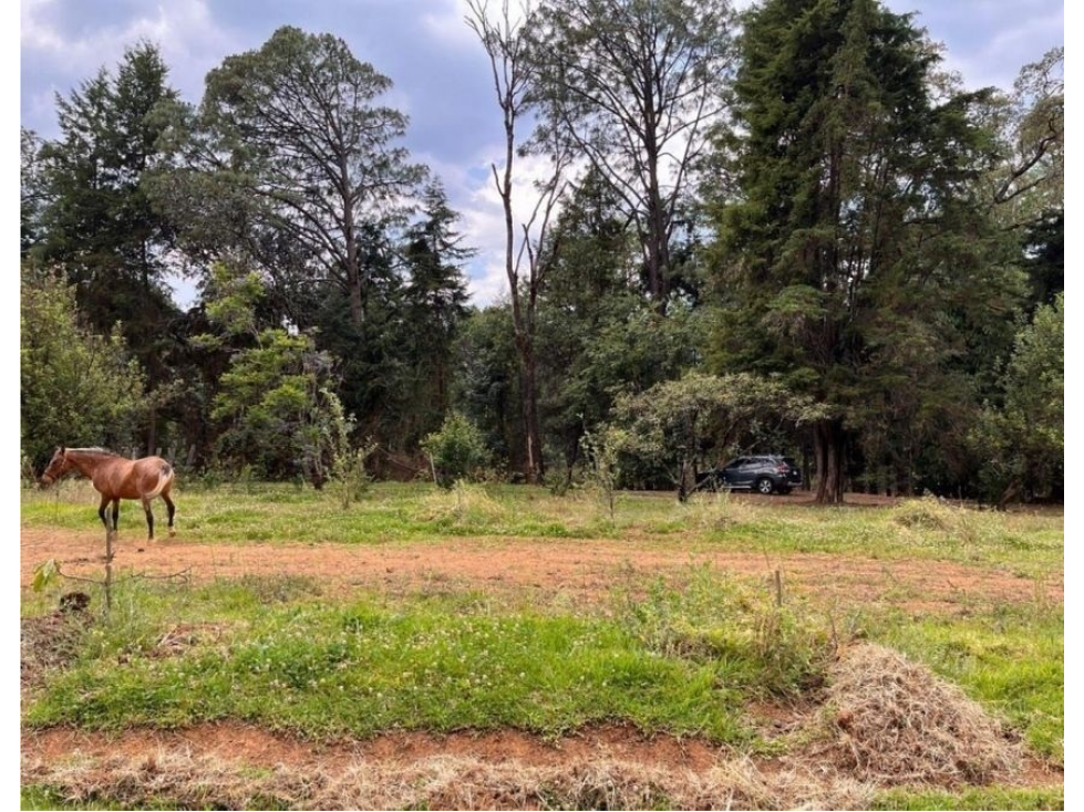 TERRENO EN VENTA | 5,000 M2 | MESA DE JAIMES | VALLE DE BRAVO — foto 3