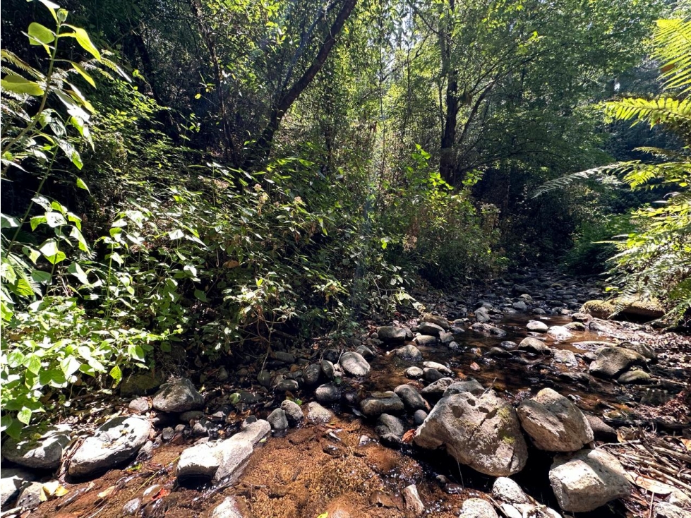 TERRENO CON RIO EN VENTA SAN SIMON — foto 4