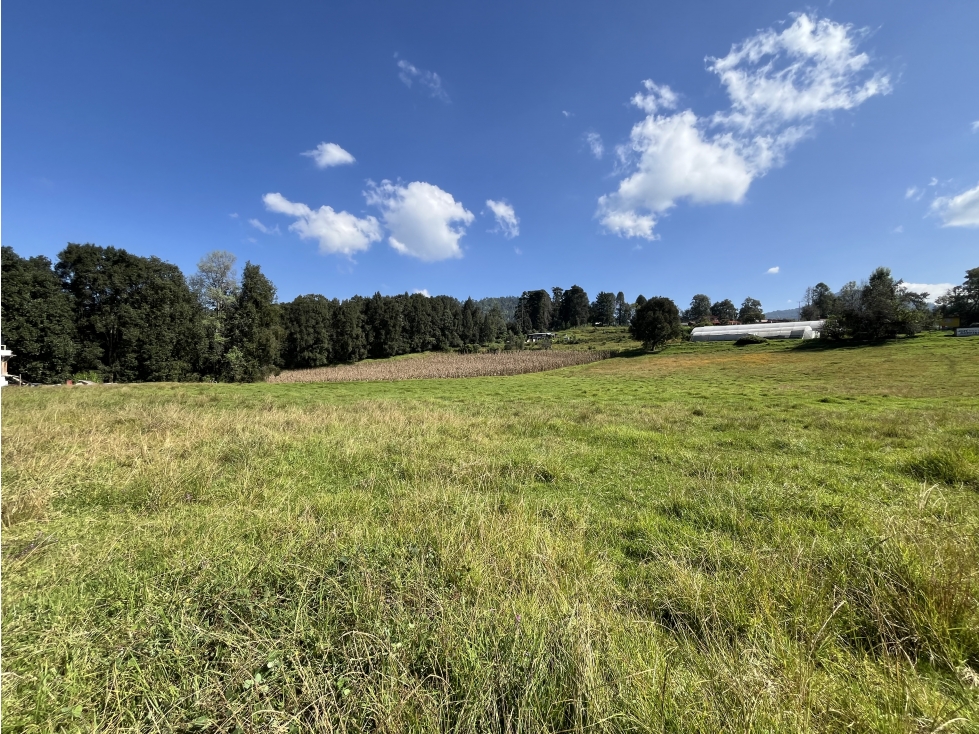 TERRENO EN VENTA I 500M2 PLANO I SAN SIMÓN