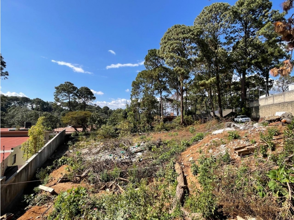 TERRENO EN VENTA I AVANDARO I 843 M2 — foto 4