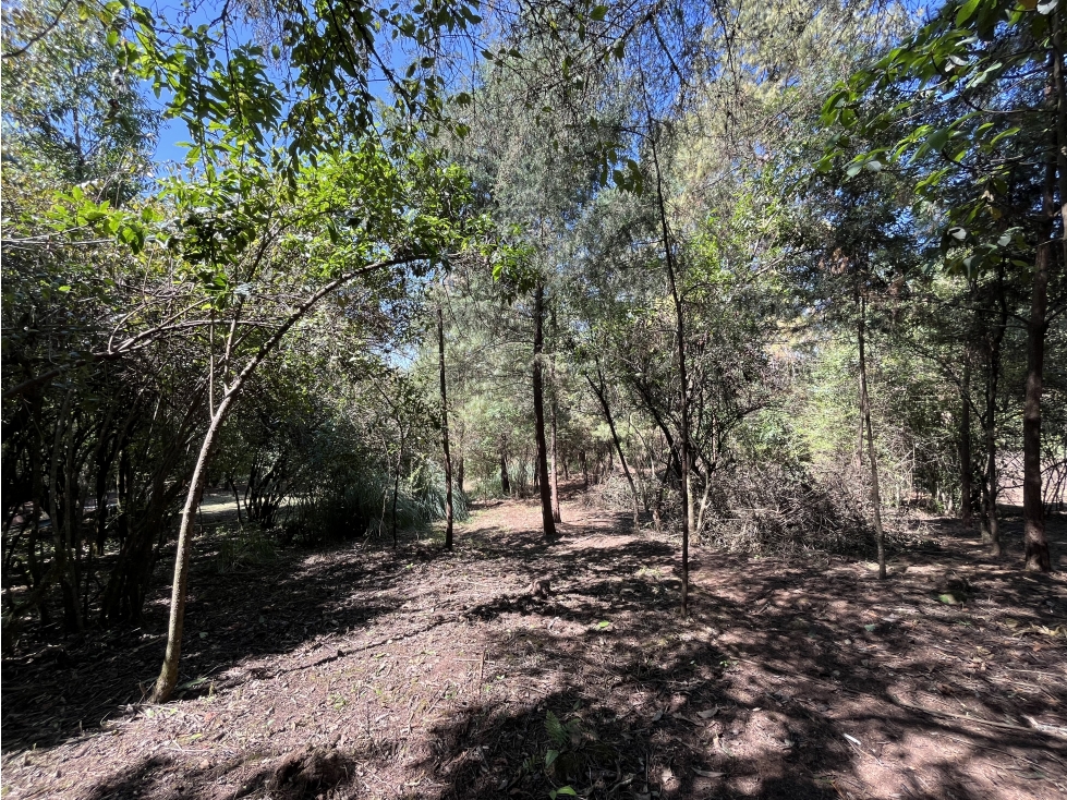 TERRENO EN VENTA I VALLE SANTANA I VALLE DE BRAVO — foto 6