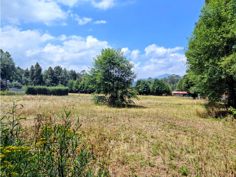 TERRENO EN VENTA SAN SIMON I 2556 M2 — foto 3