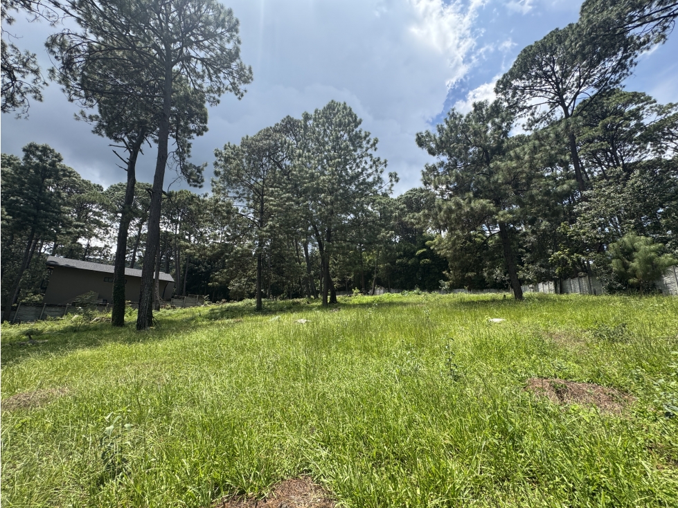 TERRENO EN VENTA | 5,675 M2 | AVANDARO - CERRO GORDO | VISTA AL NEVADO