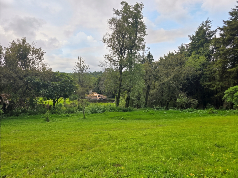 TERRENO EN VENTA I LAS JOYAS I VISTA A LA NATURALEZA - 2