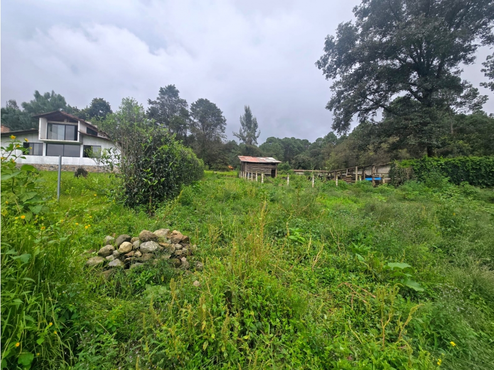 TERRENO EN VENTA I LA JOYA I 1,330 M2 - 3