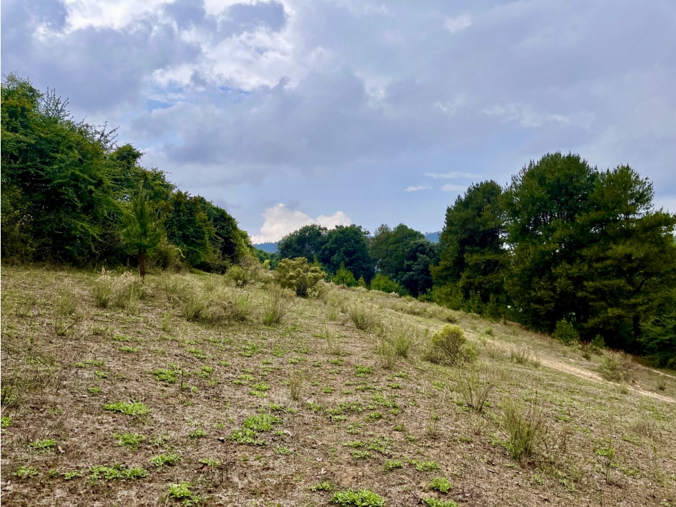 TERRENO EN VENTA | 10 HECTAREAS | AMANALCO | VALLE DE BRAVO - 5