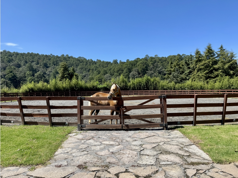 RANCHO EN VENTA | VALLE DE BRAVO | EL RINCÓN | LAGO | CABALLERIZAS - 5
