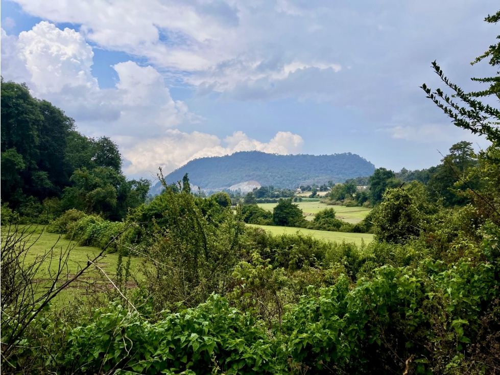 TERRENO EN VENTA | 10 HECTAREAS | AMANALCO | VALLE DE BRAVO