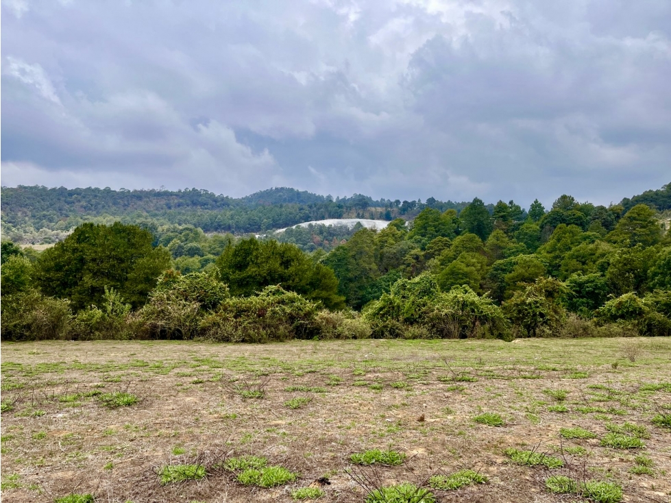 TERRENO EN VENTA | 10 HECTAREAS | AMANALCO | VALLE DE BRAVO - 4