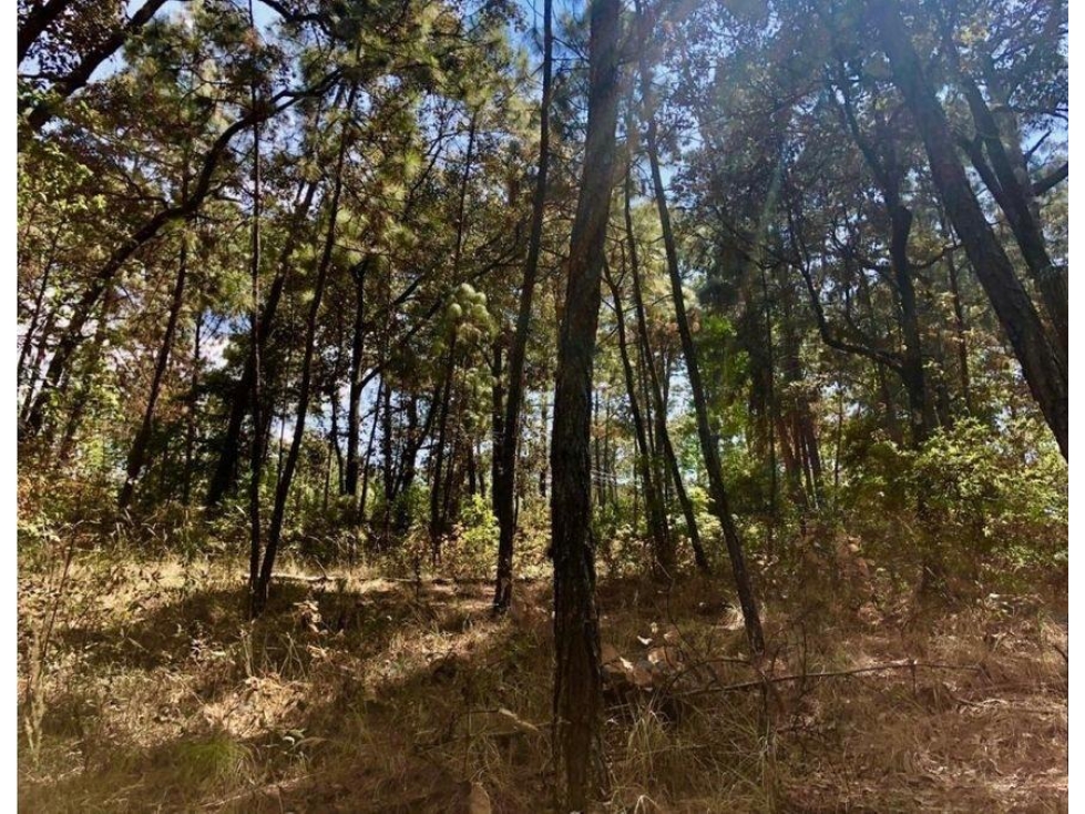 TERRENO EN VENTA | 5,000 M2 | CIRCUITO AVANDARO — foto 3
