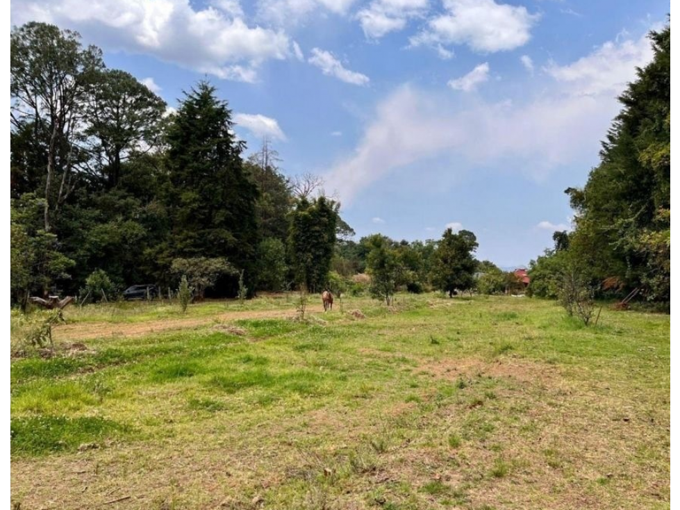 TERRENO EN VENTA | 5,000 M2 | MESA DE JAIMES | VALLE DE BRAVO