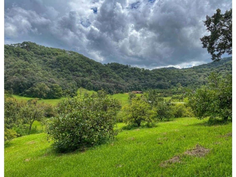 TERRENO EN VENTA | 28,300 M2 | EL CERRILLO |VALLE DE BRAVO