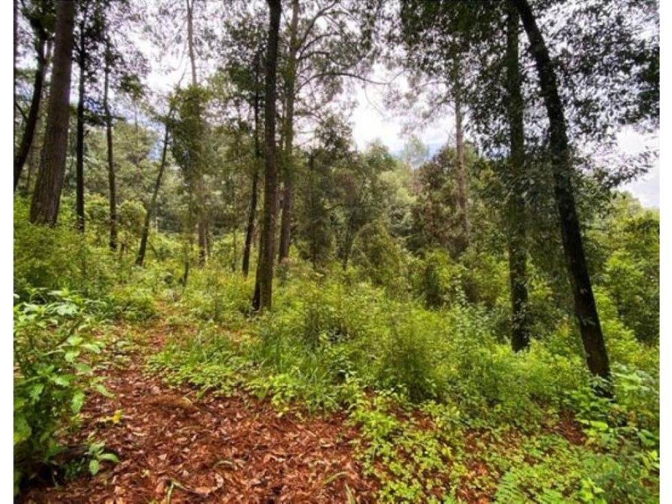 TERRENO EN VENTA | 6,764 M2 | VALLE DE BRAVO | EL MANZANO - 6