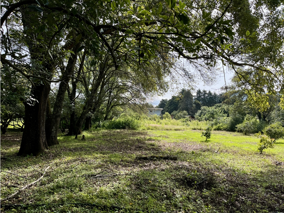 TERRENO EN VENTA EN ATEZCAPAN, VALLE DE BRAVO, HUERTA DE AGUACATES — foto 5